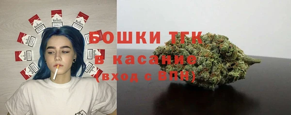 бошки Бронницы