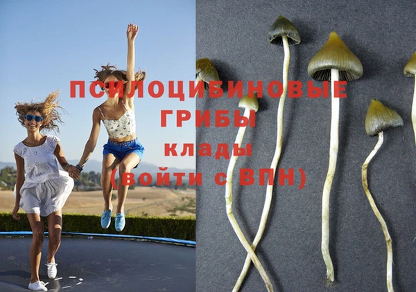 бошки Бронницы