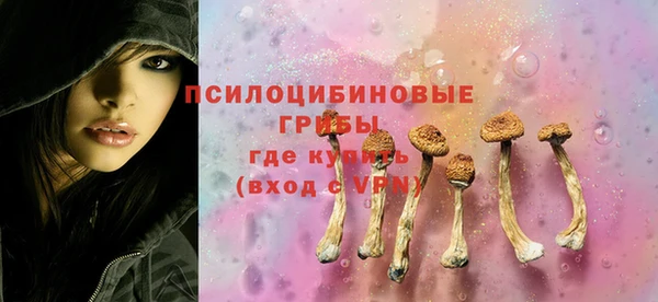а пвп мука Бородино
